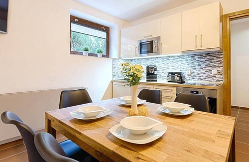 Harrachov Apartment | Harrachov LHJE261