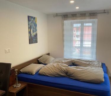 Wassen Apartment | Haus Alpenhof
