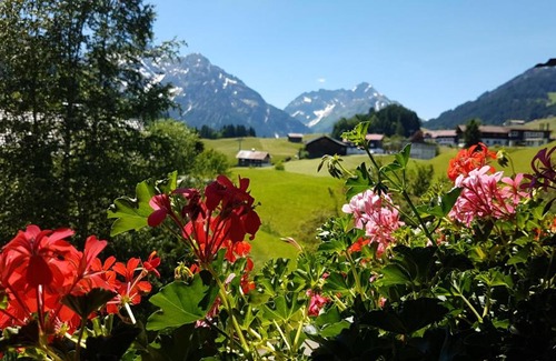 Riezlern Apartment | Haus Bergliebe Kleinwalsertal