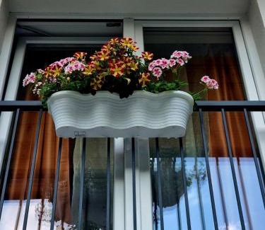 Sankt Sebastian Apartment | Haus Bierherr
