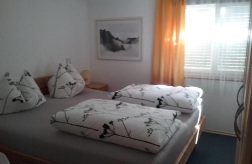 Weiler-Simmerberg Apartment | Haus Biggi - Ferienwohnung Hochgrat