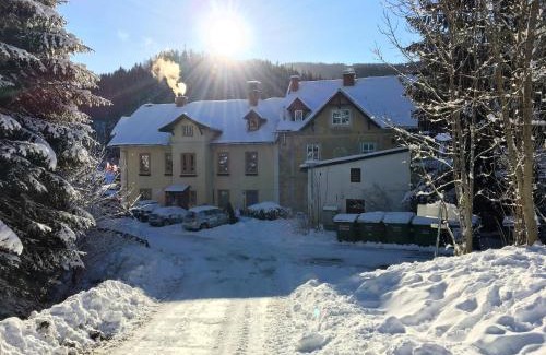 Steinhaus am Semmering Apartment | Haus Elena am Semmering