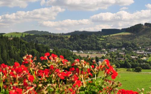 Schwalefeld Apartment | Haus Hubertus