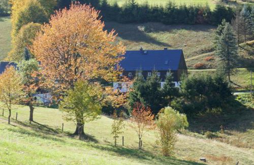Waldbarenburg Apartment | Haus Talruhe