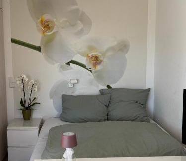Braunlage Apartment | Haus Waidmannsruh