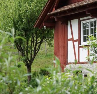 Brandmatt House | Haus Wiesenruhe