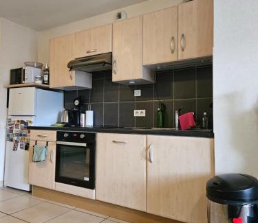 Argeles Gazost Apartment | Hautacam Condor - Balcon vue montagne