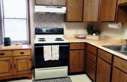 Savoy Apartment | Haveli, condo 2 mins away from Willard Airport and UIUC campus.
