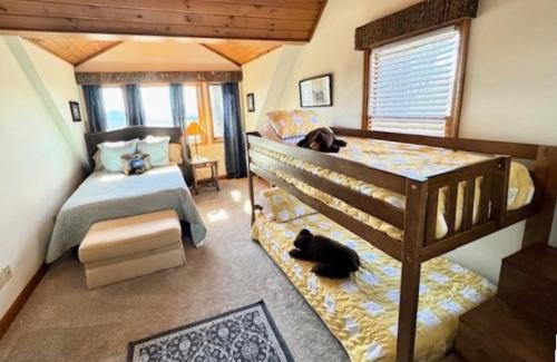 Ferguson House | Hawks View