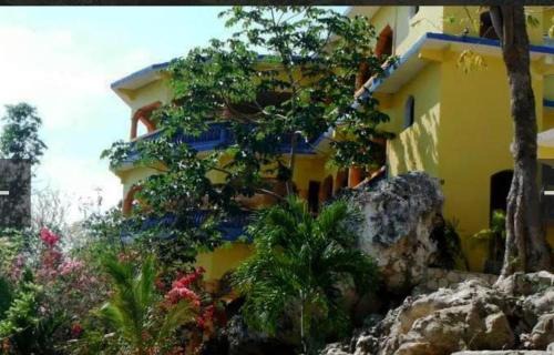 Little Bay Apartment | Hayley's Paradise Limited