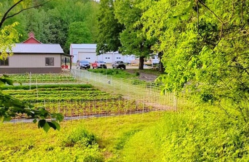 Kasbeer RV Rental | Heated Tent, Queen Bed in Forest on Farm w Animals