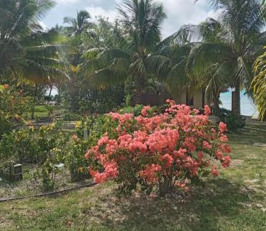 Aitutaki Villa | Heaven to Sea Beach Villas