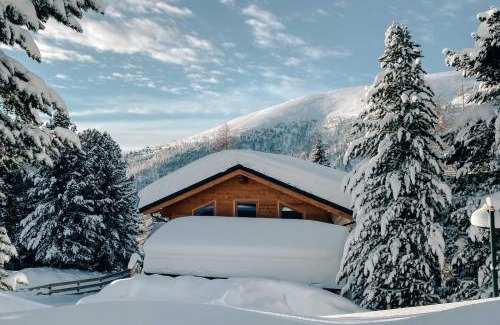 Reichenau Ski Chalet | Heidi Chalets Falkert Heidialm - Chalet Almsommer