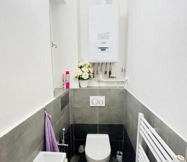 Vysehrad Apartment | Helen Homestay Prague 2