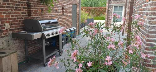 Nederzwalm-Hermelgem House | Hermelgemhoeve - Liriope