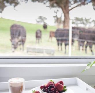 Broadford Villa | Hickey Vale Farm Lodge Pet Friendly