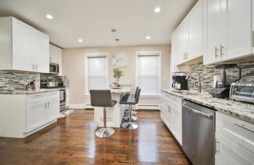 Dudley - Brunswick King Apartment | Hidden Gem 2 BR/1BA near Zoo 3 mil downtown Fenway