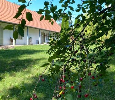 Somogydorocske House | Hidden gem in the hills of Somogy County