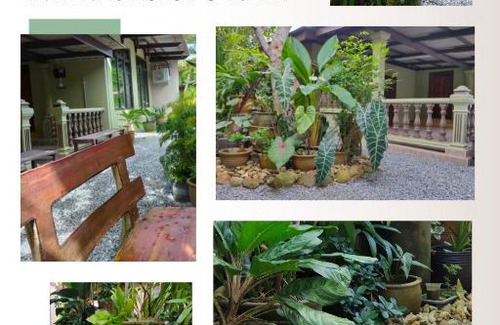 Marang House | Hidden Homestay