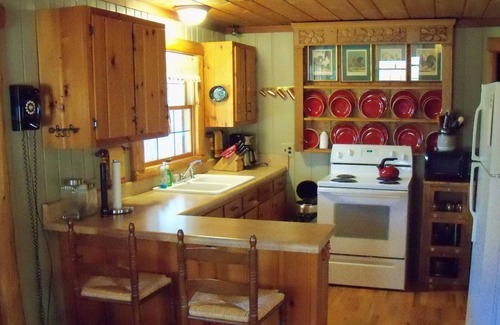 Warm Springs Cabin | Hide Away Log Cabin nestled in a serene setting in Beautiful Bath County, Va.
