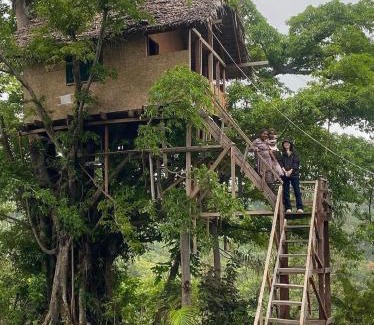 Tanna Island House | Hideaway Treehouse