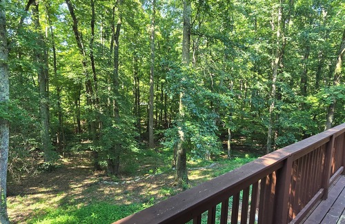 High Point House | High Point Hideaway - secluded & in center of town - fully furnished for comfort