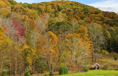 Todd House | Hike, Ski and More Blue Ridge Mountain Escape