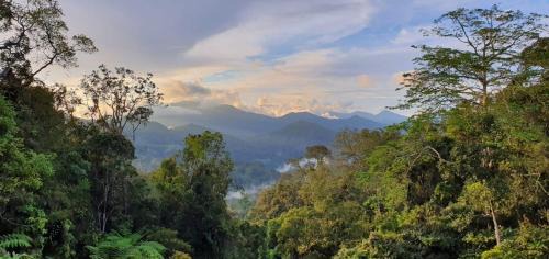 Bukit Fraser Apartment | Hills Sanctuary Retreat, B7-3A-2 with WI-FI