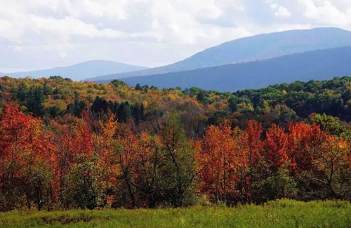Fleischmanns Cabin | Hillside Hideaway: fireplace + 5 mins to Belleayre