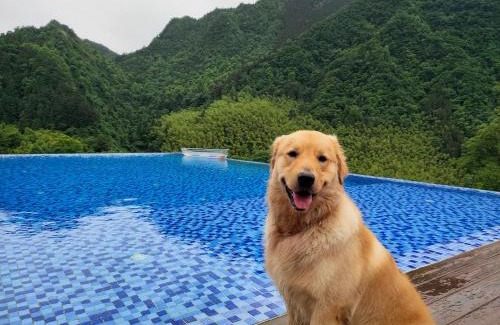 Wulingyuan Hotel | Hilltop House Resort
