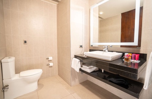Pudahuel Hotel | Hilton Garden Inn Santiago Airport