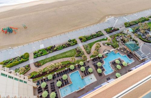 Northeast Virginia Beach Hotel | Hilton Vacation Club Ocean Beach Club Virginia Beach