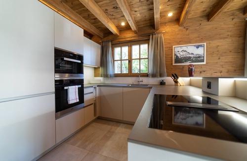 Wildhaus Ski Chalet | Hinterrugg 6-room chalet with mountain view
