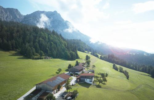 Scheffau am Wilden Kaiser Apartment | Hinterschiesslinghof