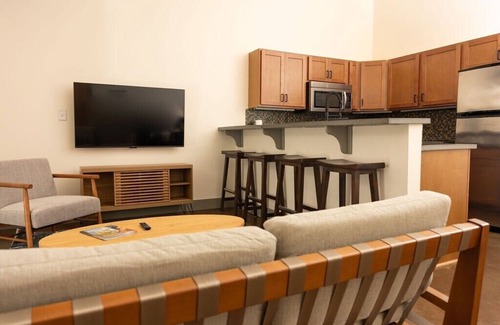 Roanoke Apartment | Historic brick charm 1BR downtown