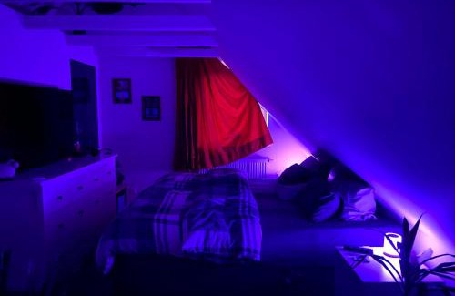 Geesthacht Apartment | Hoch Hamburg, ein Traum unterm Dach