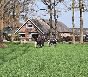 Woudenberg House | Hoeve de Laan