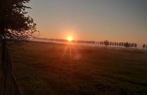 Municipality of Noord-Beveland Apartment | Hof van Maldegem