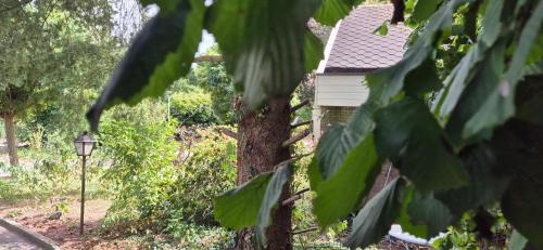Sellingen Bed & Breakfast | Hof van Sellingen