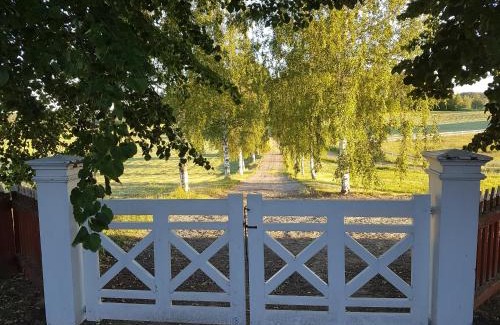 Halsingland Bed & Breakfast | Hofra Bed & Breakfast