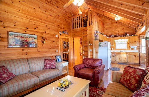 Cherry Log Cabin | Hog Heaven - Cherry Log GA