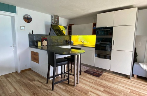 Brienz Ski Chalet | Holiday apartment Brienz BE for 1 - 2 persons - Holiday house