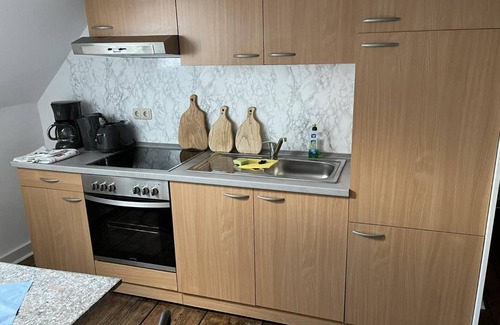 Wurzbach Apartment | Holiday Apartment in the Former Manor 'Bergblick' with Garden and Wi-Fi