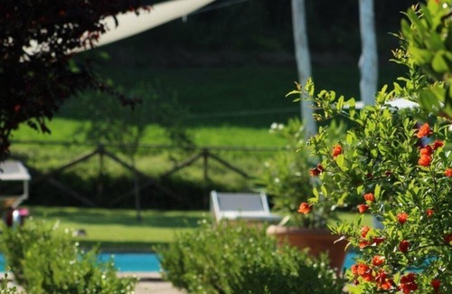 Montone Apartment | Holiday apartment Montone for 1 - 2 persons with 1 bedroom - Holiday apartment in one or multi-famil