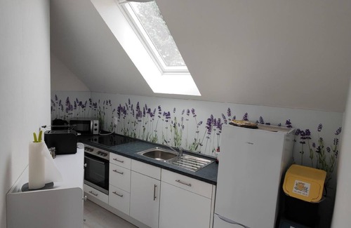 Zschepplin Apartment | Holiday apartment Naundorf for 1 - 4 persons with 1 bedroom - Holiday apartment