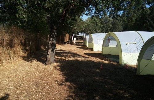 Norbello House | Holiday apartment Norbello for 1 - 3 persons - Holiday house