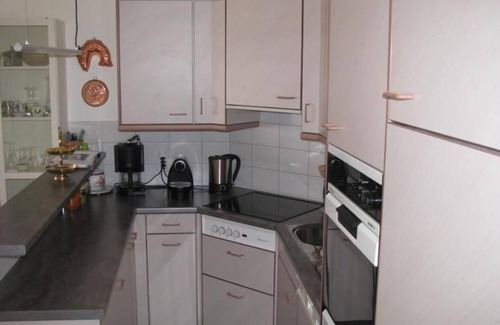 Wilderswil Apartment | Holiday apartment Wilderswil for 1 - 2 persons with 1 bedroom - Holiday apartment in one or multi-fa