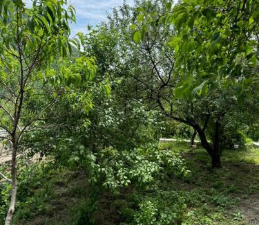Sheki Apartment | Holiday home