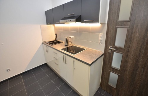 Spicak House | Holiday Home in Železná Ruda near Ski Lift