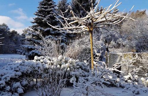 Mollensdorf House | Holiday home in Coswig 3105